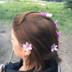 Meet your Posher, Tessla